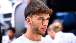 gasly looking serious