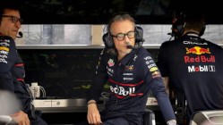 Red Bull team boss